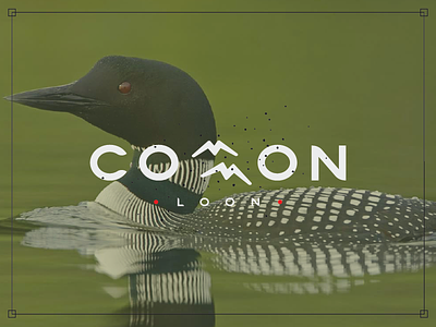 Common Loon common loon design minnesota type typography wordmark
