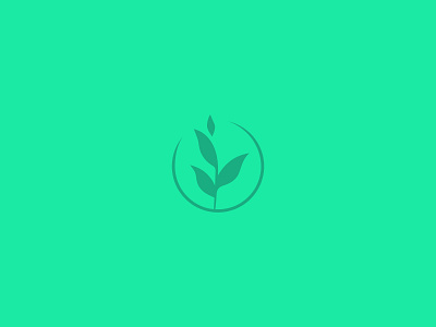 Plant by Colin Baker on Dribbble