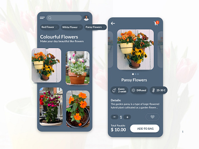 Plant Selling App app app design branding colors design illustration logo minimal typography ui ui design website design
