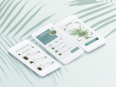 Florest Mobile App buy florest greenfriend mobile app mobile design plants scan shop ui concept