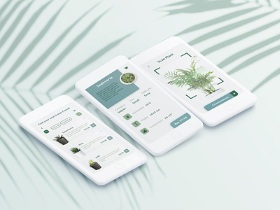 Florest Mobile App buy florest greenfriend mobile app mobile design plants scan shop ui concept