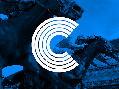 C ~ 2 blue horse race horses race sport