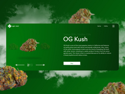 Legal weed app design flat green interface legal minimal smoke trend ui website weed