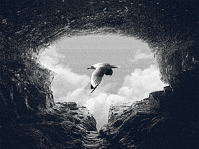 Bird Eye - Eye 81 100 day project bird cave eye grain negative space noise sky texture vintage