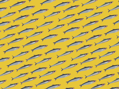 Anchovy Print fish gouache hand drawn illustration pattern pattern design