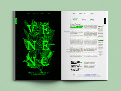 Enciclopedia / Animales Fantasticos design editorial enciclopedia fadu typography uba