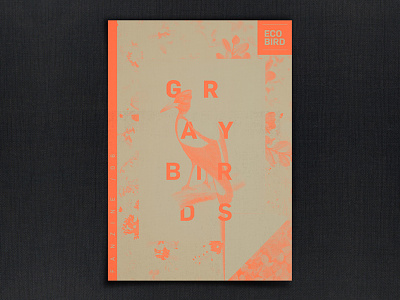 Gray Birds bird editorial fluo grid layout orange