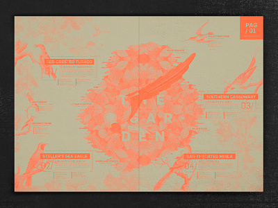 The Garden bird design editorial fluo garden graphic grid layout orange