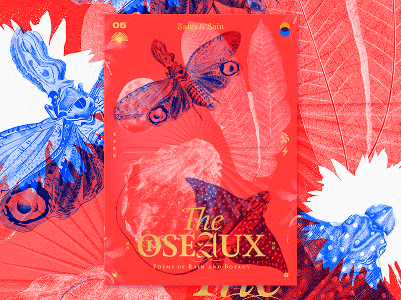 Les Oiseaux birds color design firefly gif graphic japan layout layouts oiseaux poster stingray
