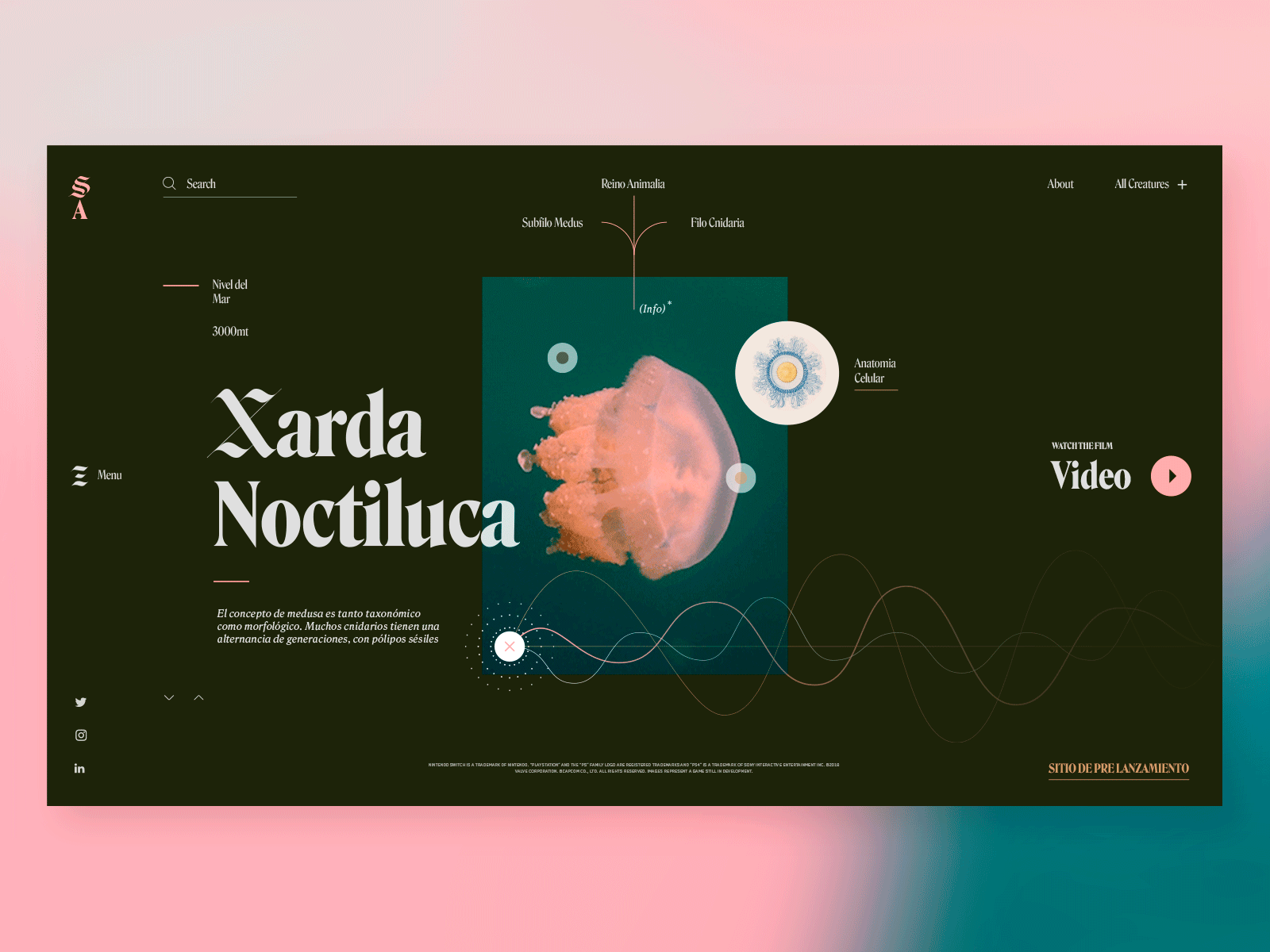 Fauna Abysal animal animation biology color concept editorial graphic jellyfish layouts music nature sea sound typography ui ux waves web website