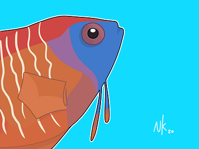 SWIM art cartoon colourful design fish illustration illustration art photoshop