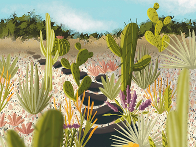 Xeriscape - Things to to about Climate Change 36daysoftype background design cactus children illustration climate change climate emergency climatechange design digital drawing digital illustration environment garden illustration outdoors plants procreate visual art visual development xeriscape