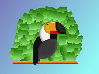 Bird illustration animation art design figma illustration minimal vector
