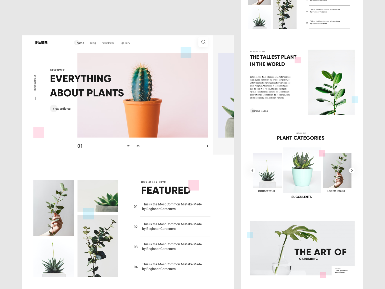 Minimal Plant Blog by Galif on Dribbble