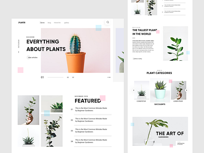 Minimal Plant Blog