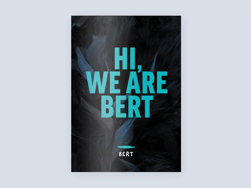 Bert Book book brochure clean design graphic design identity