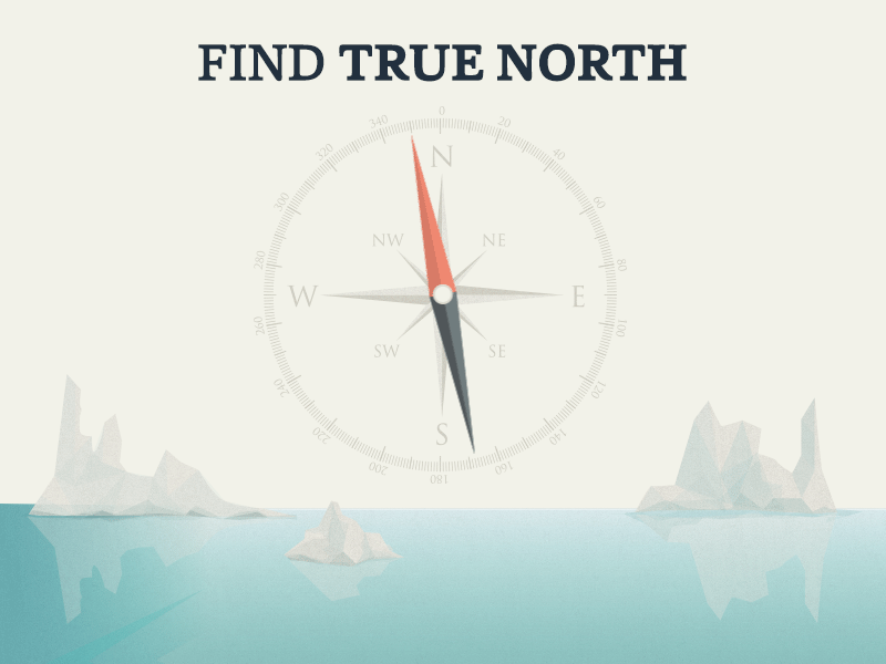 True North animation arctic compass design graphic illustration north