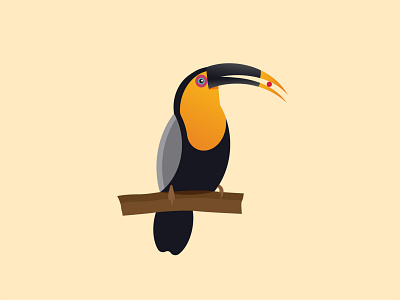Birds of prey- Toucan birds birds illustration design illustration minimal minimal illustration vector
