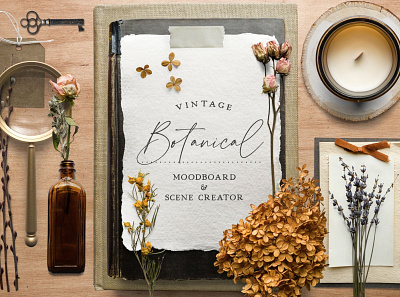 Botanical Moodboard Scene Creator branding design elements illustration mockup creator mockup design moodboard moodboards