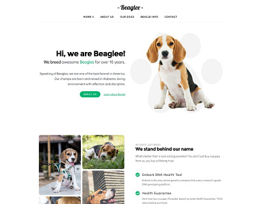 Kariboo Kennel -WP Dog Breeder branding design landing page theme web web design website wordpress