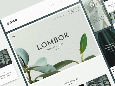 UI Kit - Lombok app branding design elements flat landing page ui ux web website