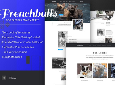 Frenchbulls blog business theme theme design web design website wordpress wordpress theme