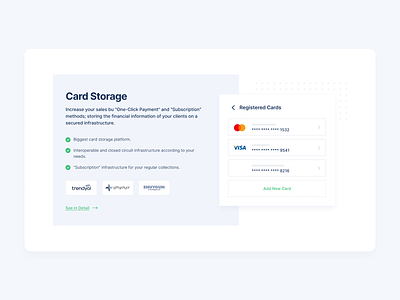 Payment Solutions & Card Storage for Online Payment Platform