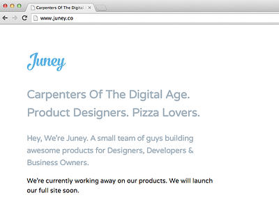 Juney | Carpenters of The Digital Age.