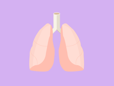 Cancer Prevention cancer checkup clinic health hospital icon illustration lungs organs prevention