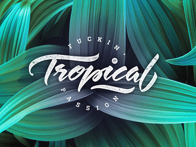 Tropical Passion hand lettering instagram leaves lettering passion story tropical typography