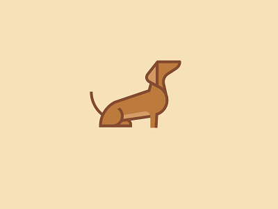 Dachshund