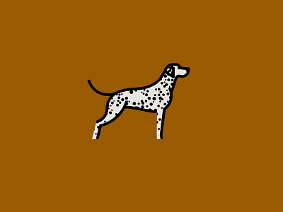 Dalmatian