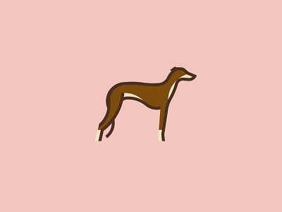 Greyhound branding brands design golden ratio goldenratio inspiration layout logo logotype type typography