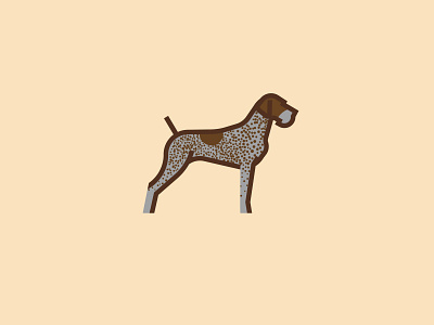 German Pointer