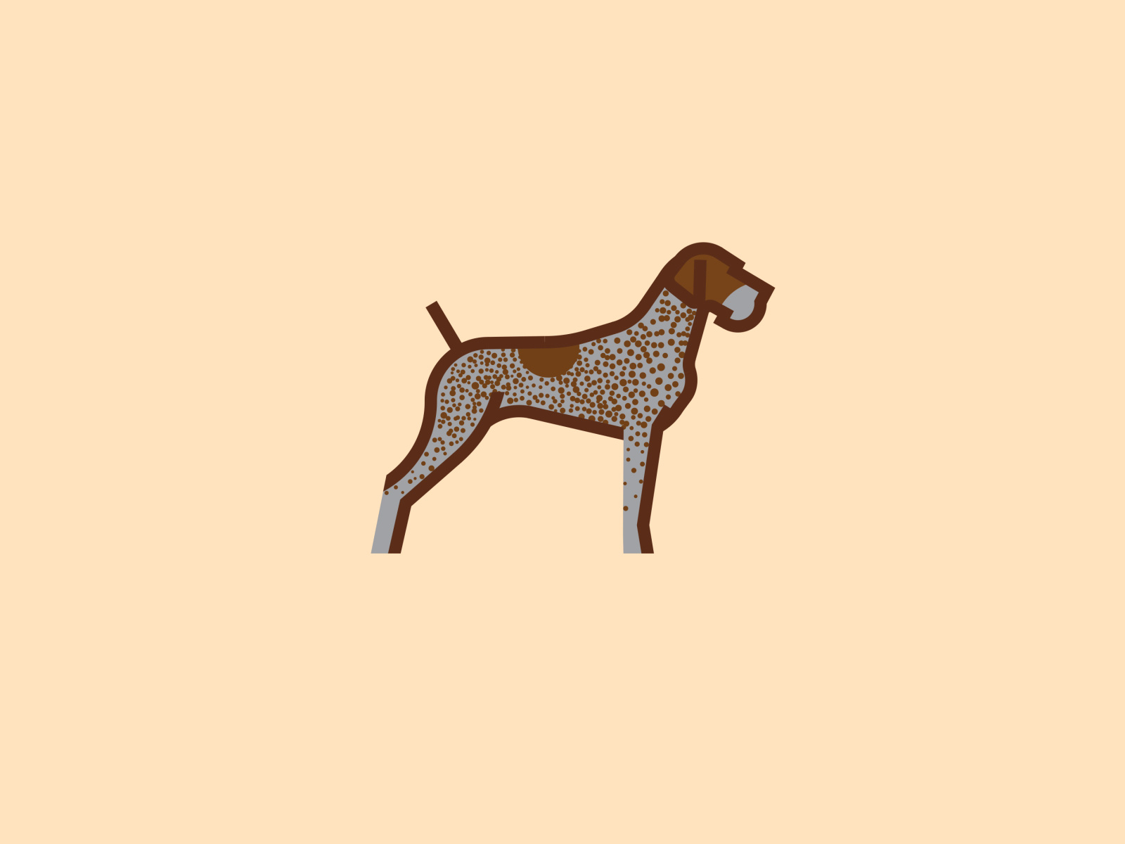 German Pointer by Pedro Arbelaez on Dribbble