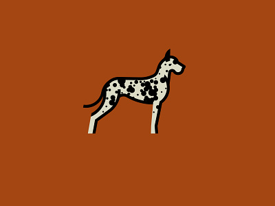 Great Dane