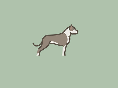 Pit Bull dog illustration logo pit bull
