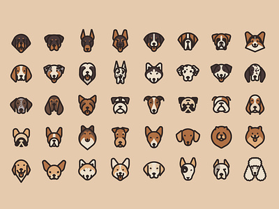 Dog faces