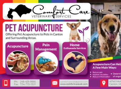 Postcard Design For A Pet Care Center petcare postcard postcard design