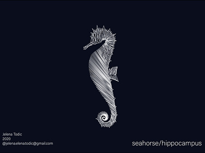 Seahorse app gif graphic illustration illustrator logo minimal sea seahorse search vector web