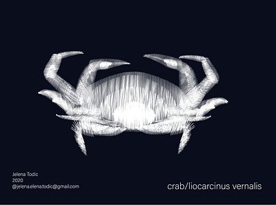 Crab app art crab graphic icon illustration illustrator logo minimal sea vector web