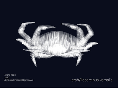 Crab