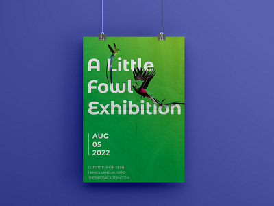 Bird Exhibition Poster birds grahic design nature poster