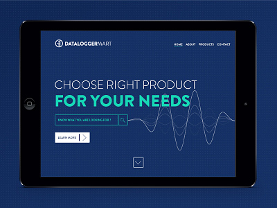 Datalogger blue intro page wave web design