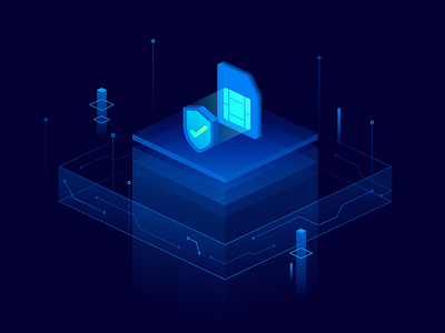 SIM Verification 2.5d isometric sim