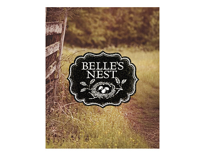 Belle's Nest Studio art director awesome design branding clean creative freelance freelance designer great logo illustration unique design