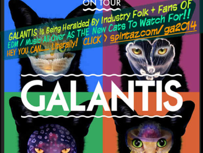 Flyer for Galantis Tour @ Coachella banners branding design flyer artwork flyer design flyer template illustration logo marketing stellar interactive vector