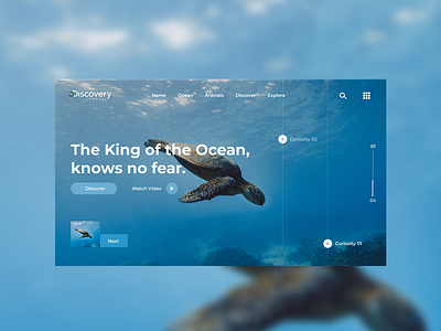 Discovery Channel - Landing Page Concept by Columba Jr Nnemeka on Dribbble