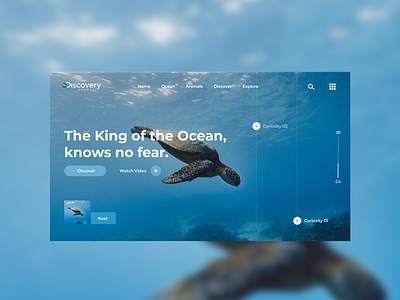 Discovery Channel - Landing Page Concept app design illustration minimal ui ux web website