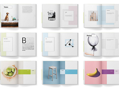 Brand Book brand design graphic mockup print typography